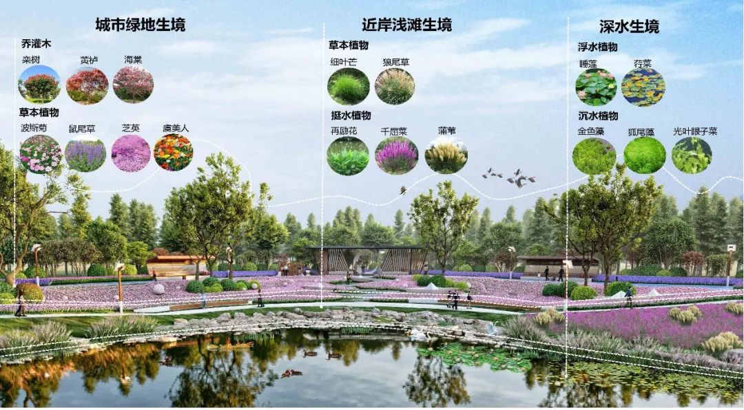 火狐电竞潍坊中央商务区公园景观设计 风景园林和旅游规划(图2)
