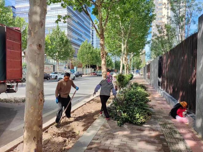 火狐电竞道路环境绿化美化无死角李沧营造洁净靓丽城区景观(图1)