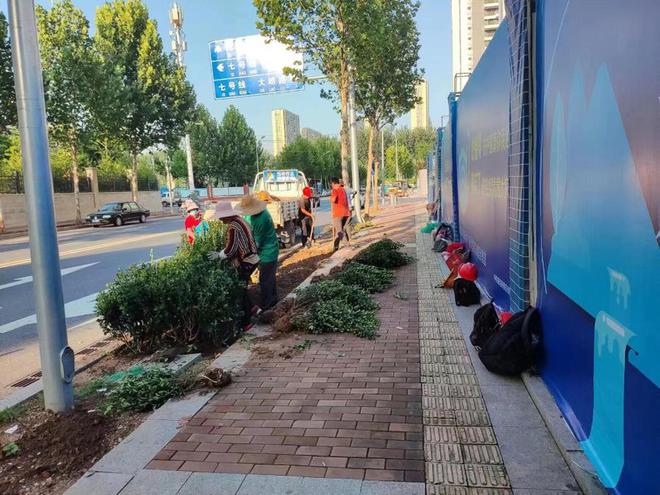 火狐电竞道路环境绿化美化无死角李沧营造洁净靓丽城区景观(图2)
