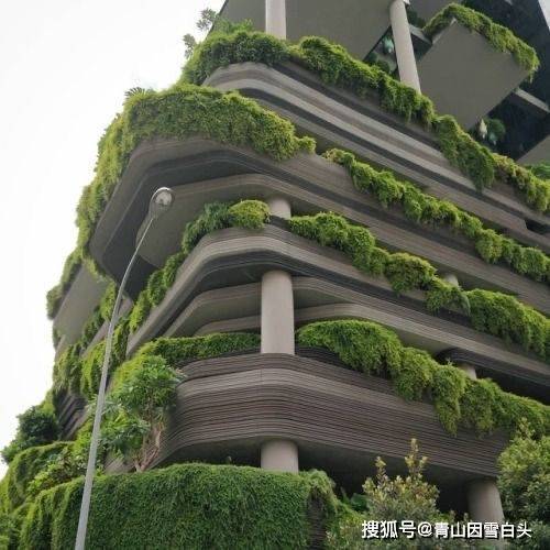 园林美图欣赏这样绿意盎然的城市才是名至实归的森林城市火狐电竞(图2)