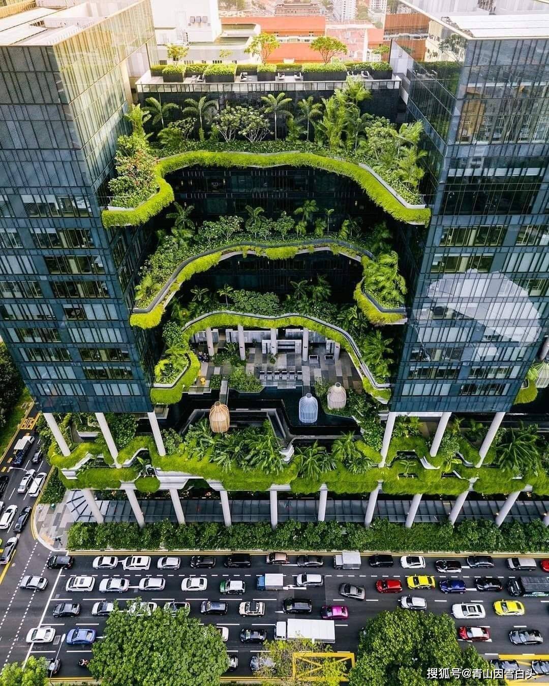 园林美图欣赏这样绿意盎然的城市才是名至实归的森林城市火狐电竞(图10)