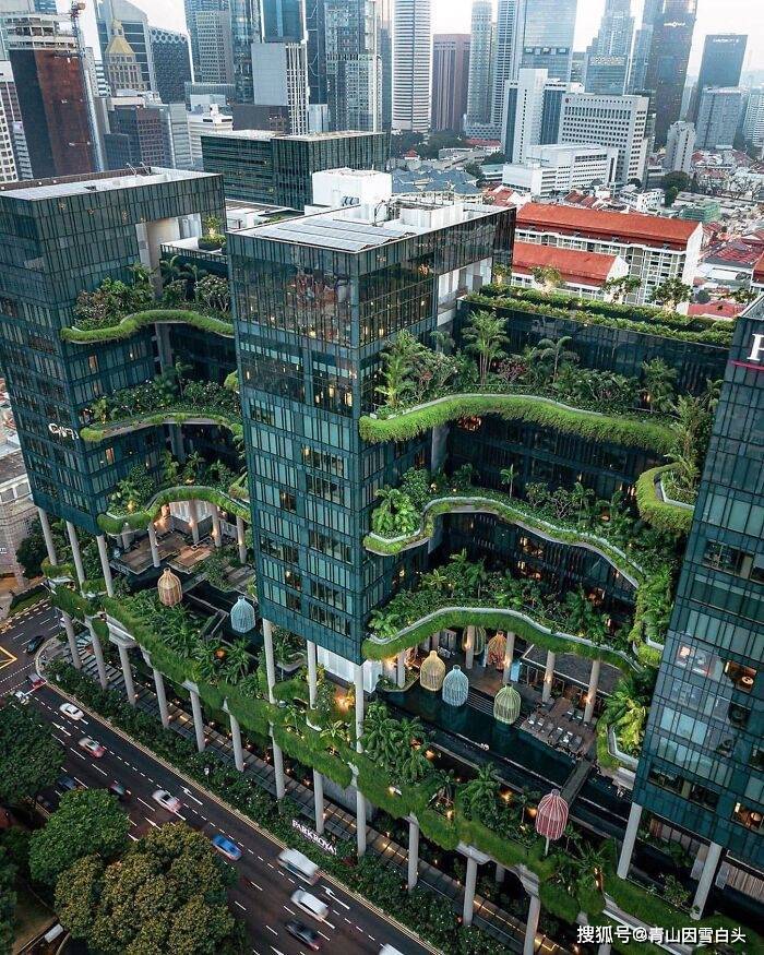 园林美图欣赏这样绿意盎然的城市才是名至实归的森林城市火狐电竞(图8)