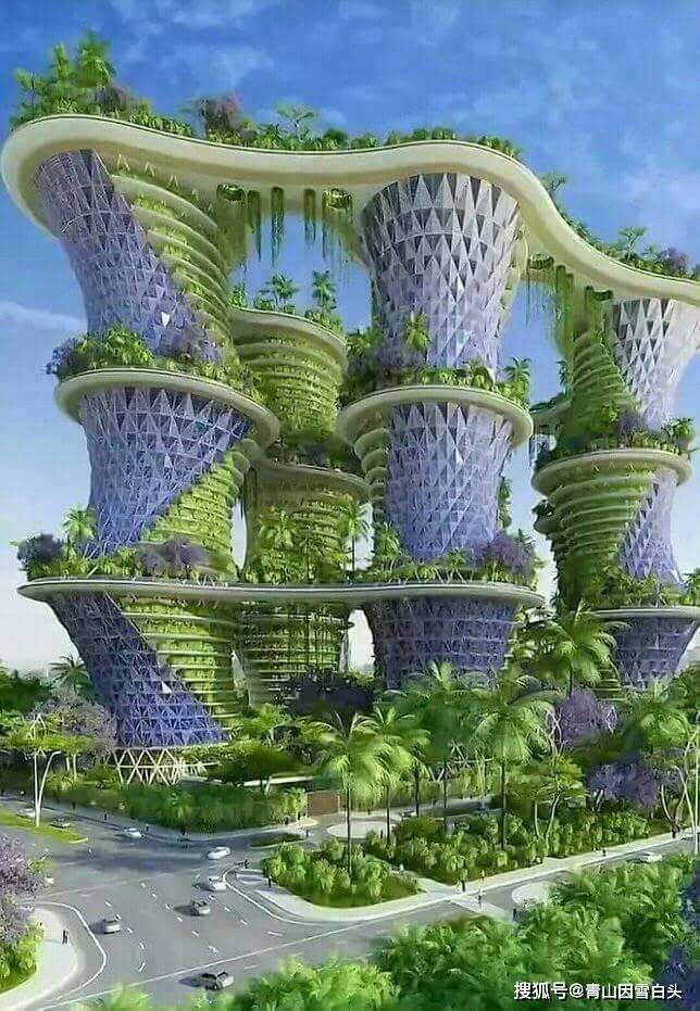 园林美图欣赏这样绿意盎然的城市才是名至实归的森林城市火狐电竞(图4)