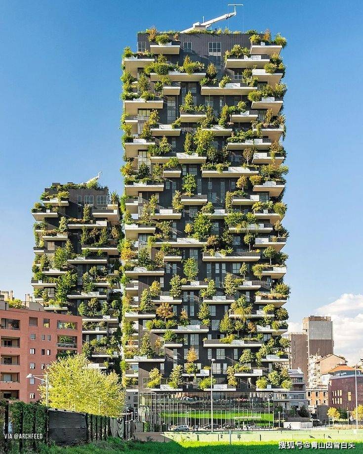 园林美图欣赏这样绿意盎然的城市才是名至实归的森林城市火狐电竞(图6)