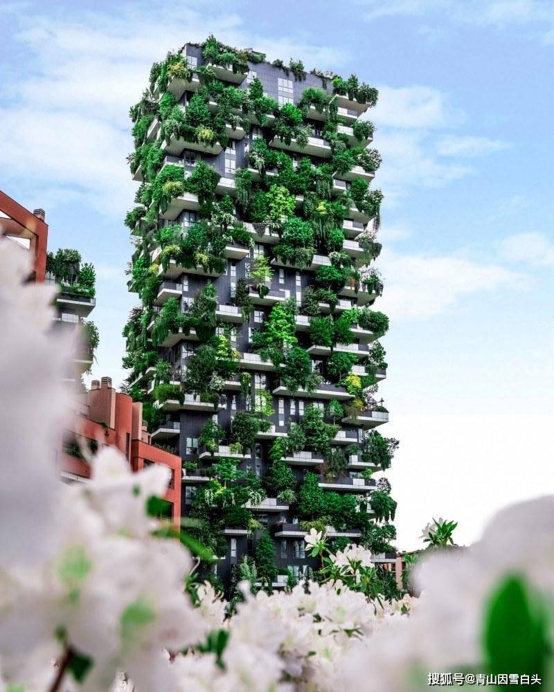 园林美图欣赏这样绿意盎然的城市才是名至实归的森林城市火狐电竞(图7)