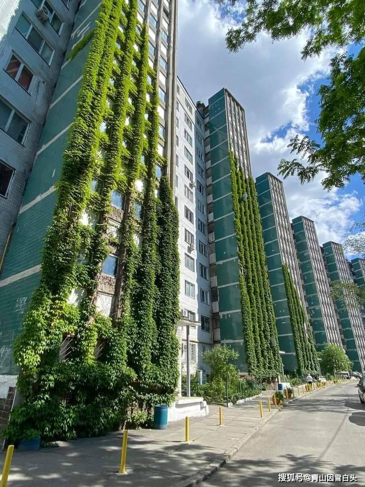 园林美图欣赏这样绿意盎然的城市才是名至实归的森林城市火狐电竞(图11)