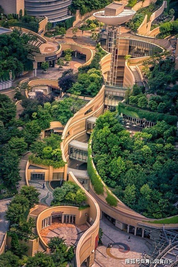 园林美图欣赏这样绿意盎然的城市才是名至实归的森林城市火狐电竞(图9)