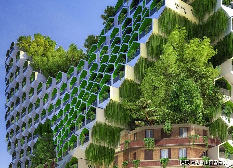 园林美图欣赏这样绿意盎然的城市才是名至实归的森林城市火狐电竞(图15)