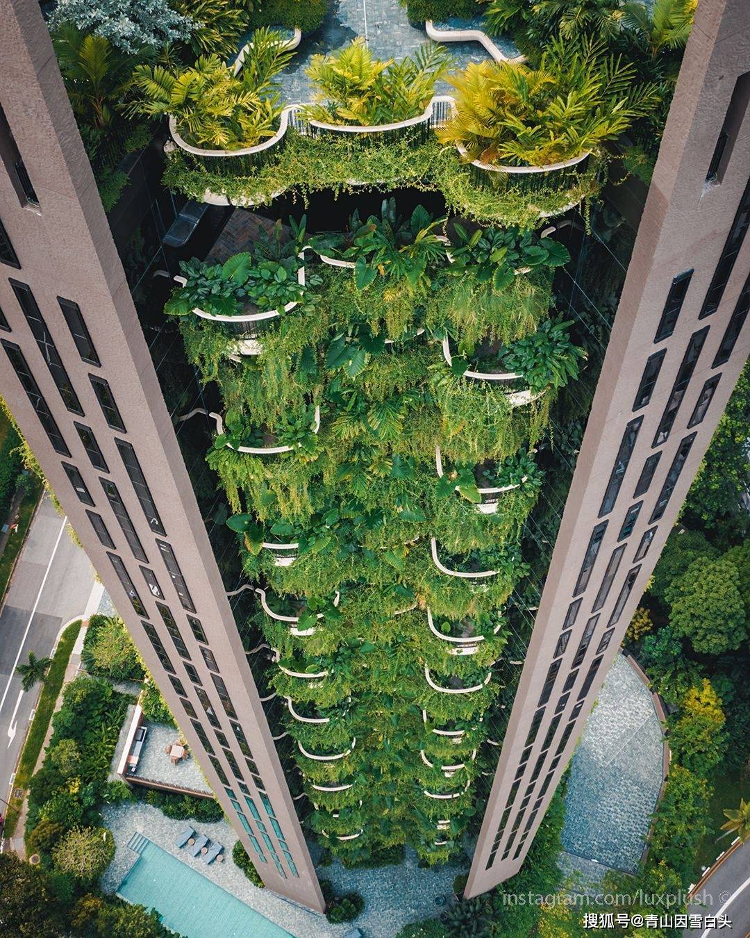 园林美图欣赏这样绿意盎然的城市才是名至实归的森林城市火狐电竞(图17)