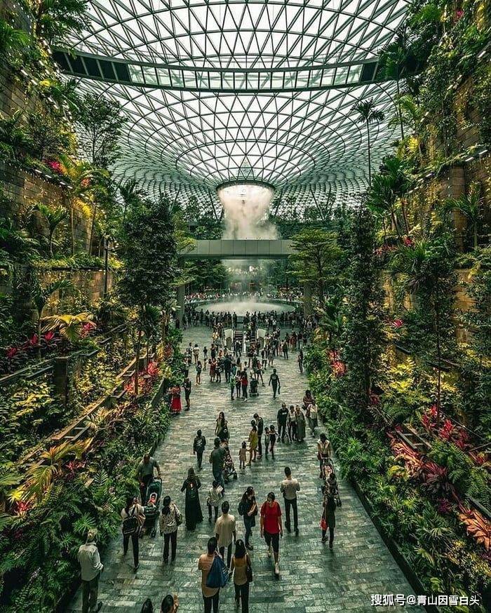 园林美图欣赏这样绿意盎然的城市才是名至实归的森林城市火狐电竞(图21)