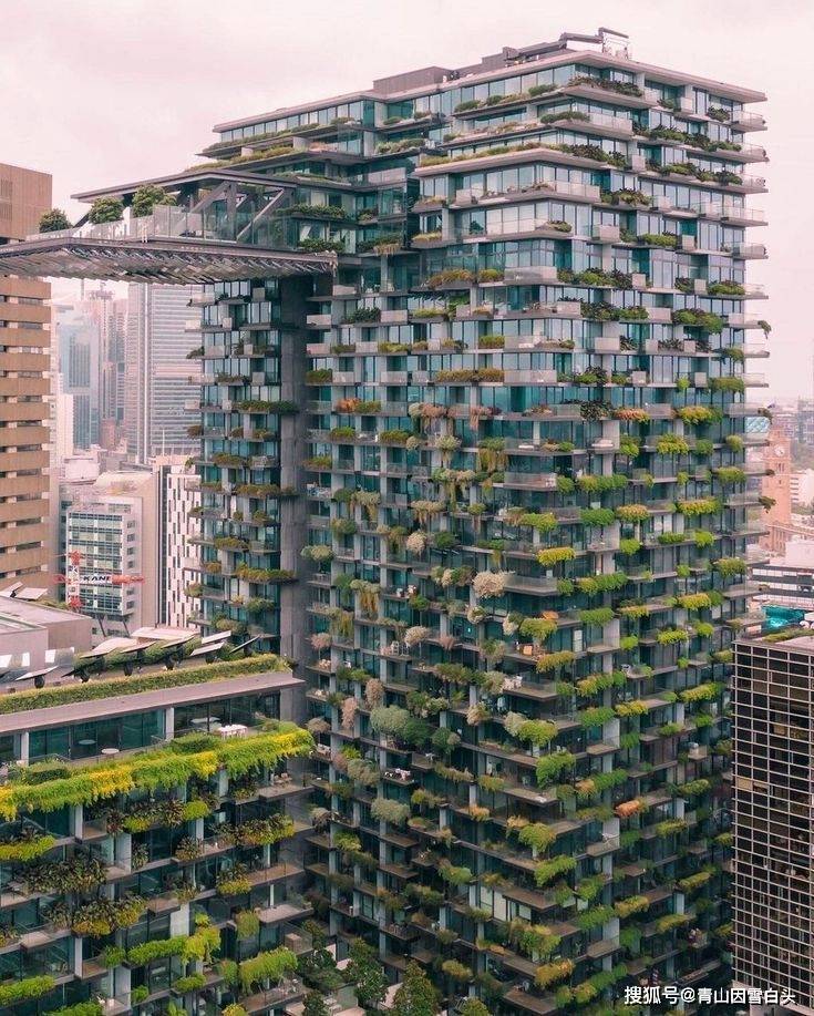 园林美图欣赏这样绿意盎然的城市才是名至实归的森林城市火狐电竞(图24)