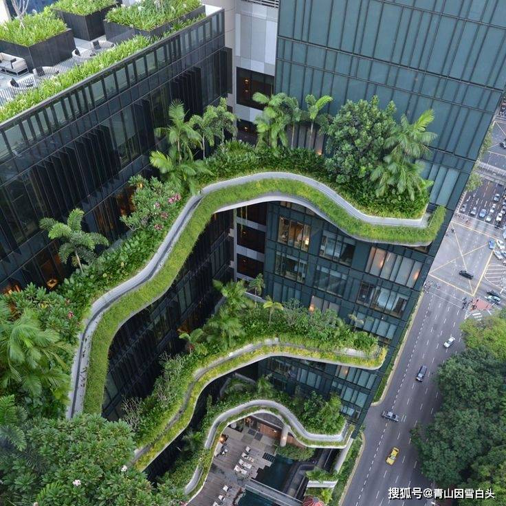 园林美图欣赏这样绿意盎然的城市才是名至实归的森林城市火狐电竞(图26)