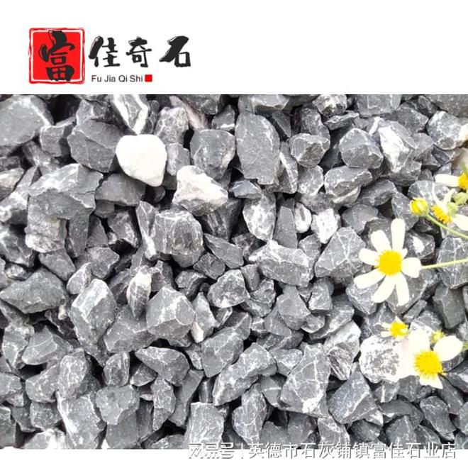 看火狐电竞不腻的绿植花园设计深圳铺石之乡堆场砾石(图1)