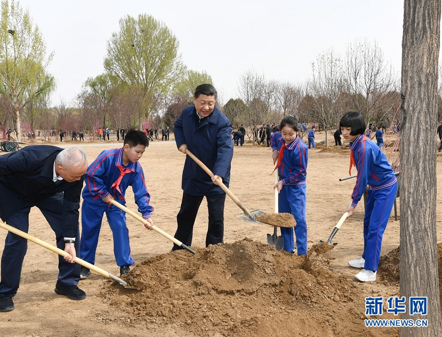 火狐电竞习：推动国土绿化不断取得实实在在的成效(图1)