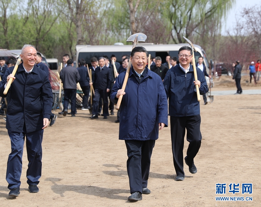 火狐电竞习：推动国土绿化不断取得实实在在的成效(图2)