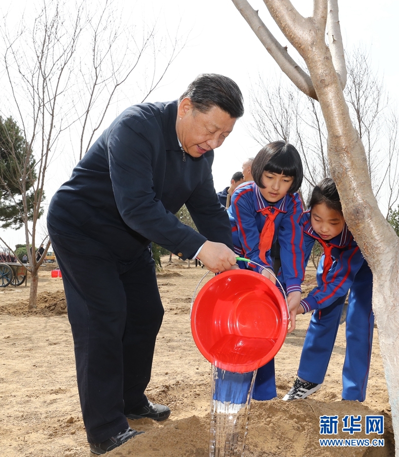 火狐电竞习：推动国土绿化不断取得实实在在的成效(图3)