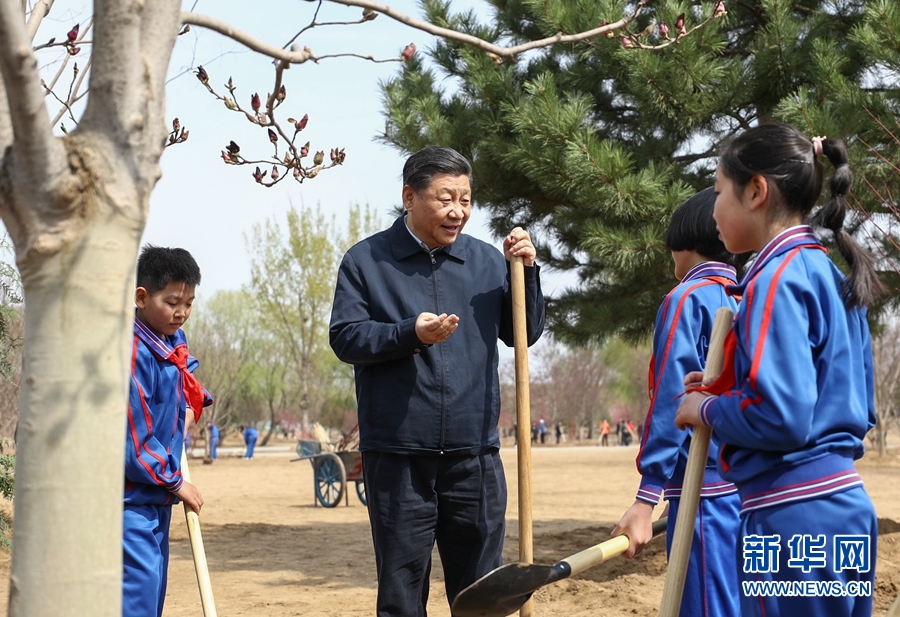 火狐电竞习：推动国土绿化不断取得实实在在的成效(图5)