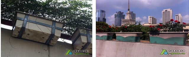 绿火狐电竞化什么是绿化？绿化的最新报道(图4)