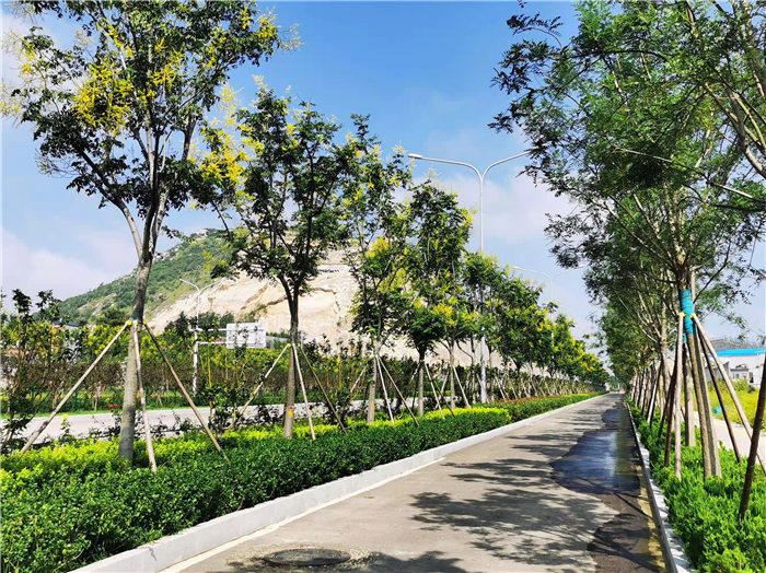 火狐电竞绿化美化提升泉城济南颜值(图3)