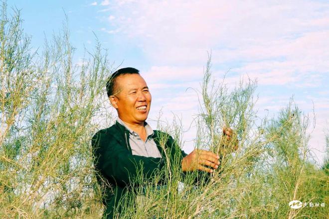 火狐电竞全国绿化劳动模范马俊河：扎根大漠16年栽植6万余亩梭梭！互联网治沙让大漠披绿装(图4)