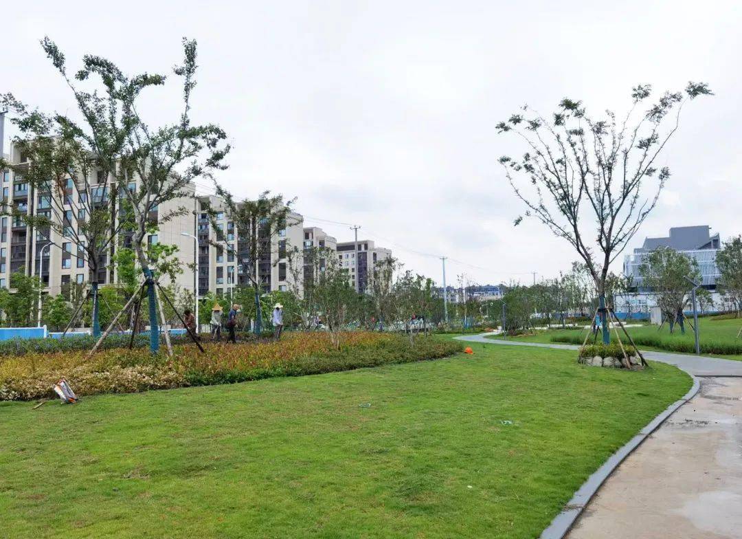 火狐电竞【提示】宝山这个绿地改造项目即将竣工今年年底正式开放→(图1)