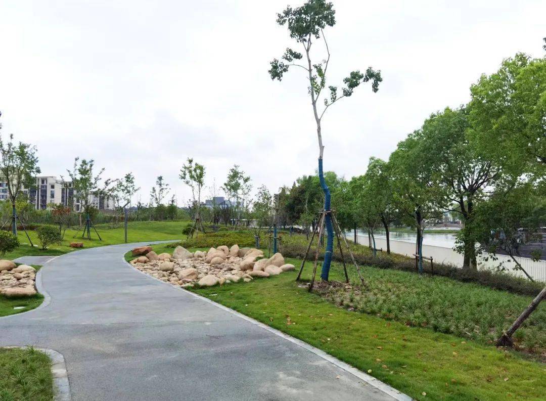 火狐电竞【提示】宝山这个绿地改造项目即将竣工今年年底正式开放→(图2)