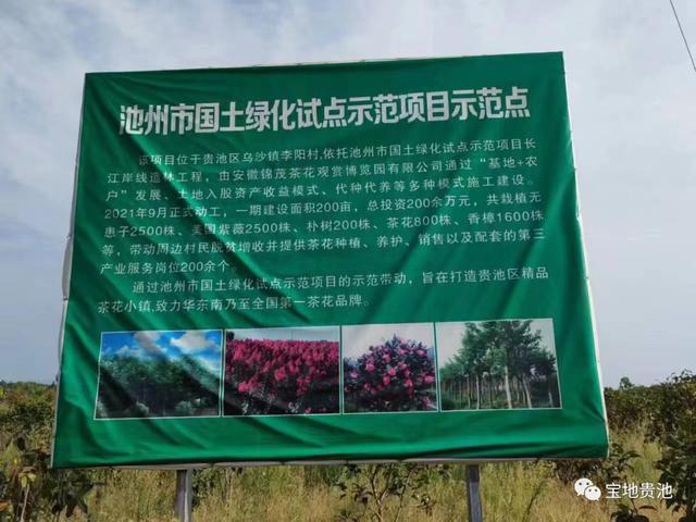 火狐电竞大赞！贵池有史以来最大规模国土绿化项目完成总投资9670万元(图4)