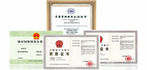 火狐电竞郑州景观绿化公司厂区绿化别墅庭院学校-枫杨园林(图1)