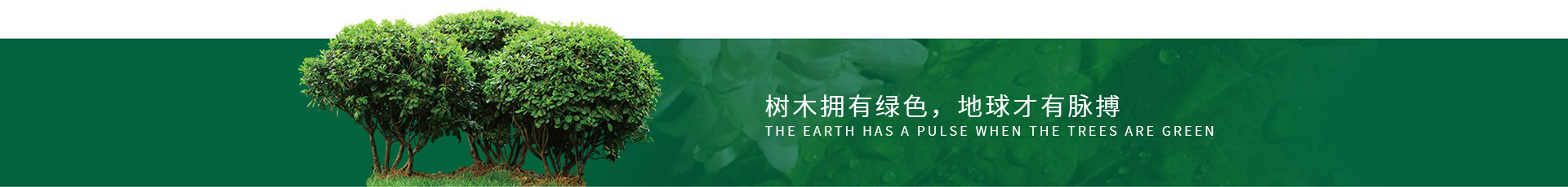中山跃火狐电竞创装饰有限公司(图1)