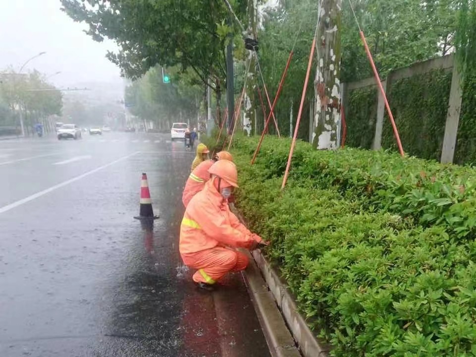 627人、116辆车区绿化火狐电竞市容局集中力量应对台风(图5)