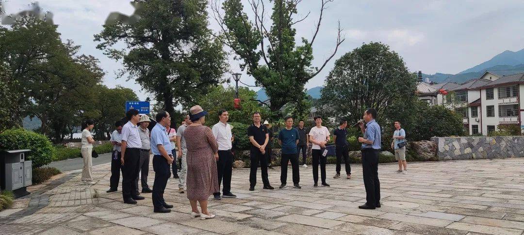 火狐电竞福建省林业局基层党组织开展主题党日活动(图8)