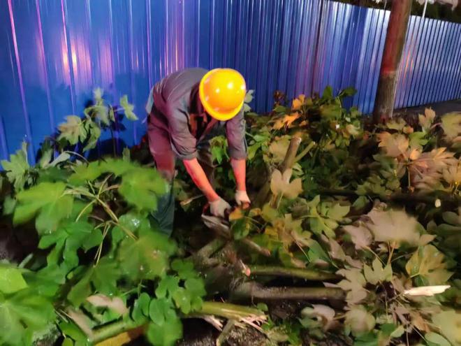 火狐电竞台风天稳稳的！(图2)