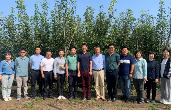 聚焦产研谋发展 共鉴佳果话新篇——市火狐电竞园林绿化局赴上庄实验站园艺学院基地调研(图1)