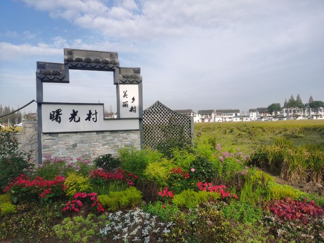 火狐电竞绿化全线覆盖！特色景观融入！上海这两条道路华丽变身(图4)