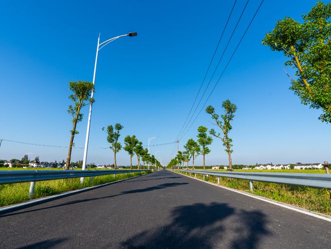 火狐电竞绿化全线覆盖！特色景观融入！上海这两条道路华丽变身(图3)