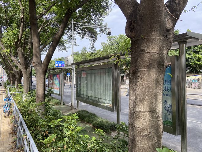 火狐电竞站台设置在绿化带 市民候车不得已践踏草坪(图3)