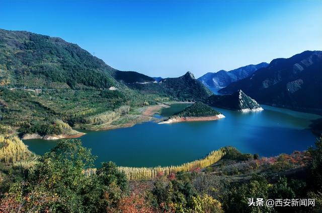 西安市周至县火狐电竞林业局荣获全国绿化先进集体(图1)