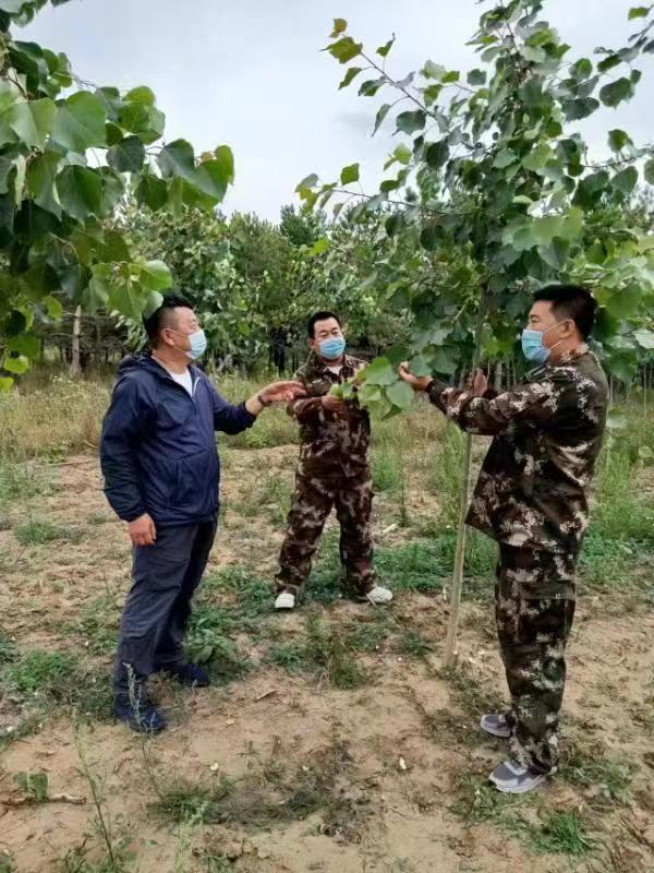 火狐电竞扎根基层 献身绿化——记全国绿化劳动模范、黑龙江省富裕林场高级工程师张大伟(图3)