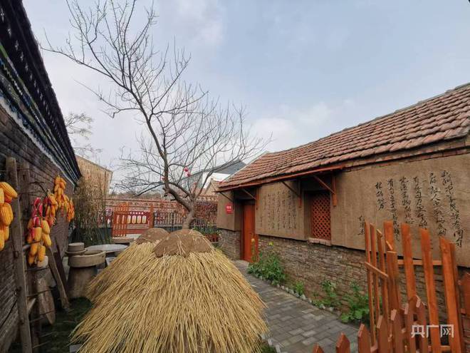 【奋进新征程 建功新时代】河南夏邑：尊重乡村资源特火狐电竞色 绘就美丽乡村新画卷(图7)