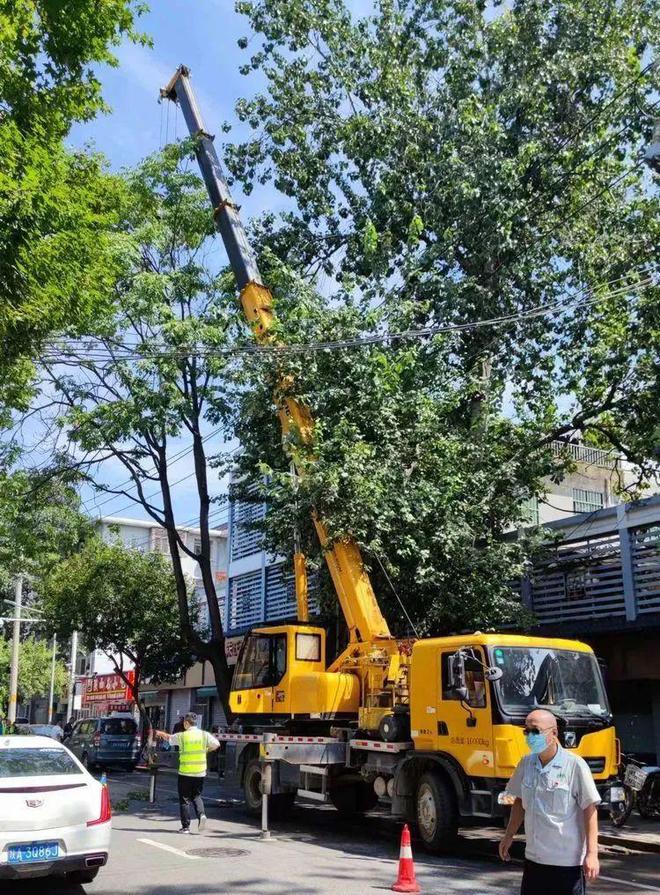 新城区城管执法局扎实做好夏秋季辖区绿化管理养护火狐电竞工作(图4)