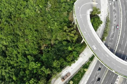 火狐电竞经常跑高速的人都知道高速公路两边的土地非常辽阔但却只能种植绿化带不能种植庄稼为此很多人都有疑惑庄稼也可以起到绿化的作用呀为何非要种树呢？(图2)