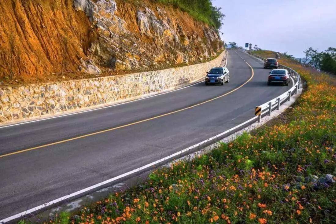 火狐电竞经常跑高速的人都知道高速公路两边的土地非常辽阔但却只能种植绿化带不能种植庄稼为此很多人都有疑惑庄稼也可以起到绿化的作用呀为何非要种树呢？(图9)