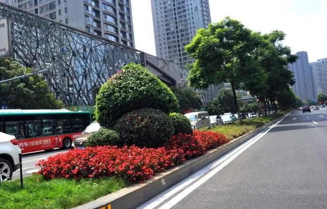 火狐电竞为何中国城市喜欢建绿化带而欧洲国家几乎没有？看完就明白了(图1)