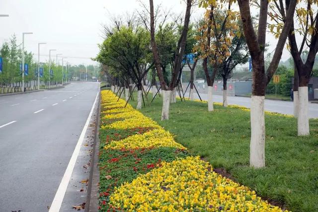火狐电竞为何中国城市喜欢建绿化带而欧洲国家几乎没有？看完就明白了(图2)