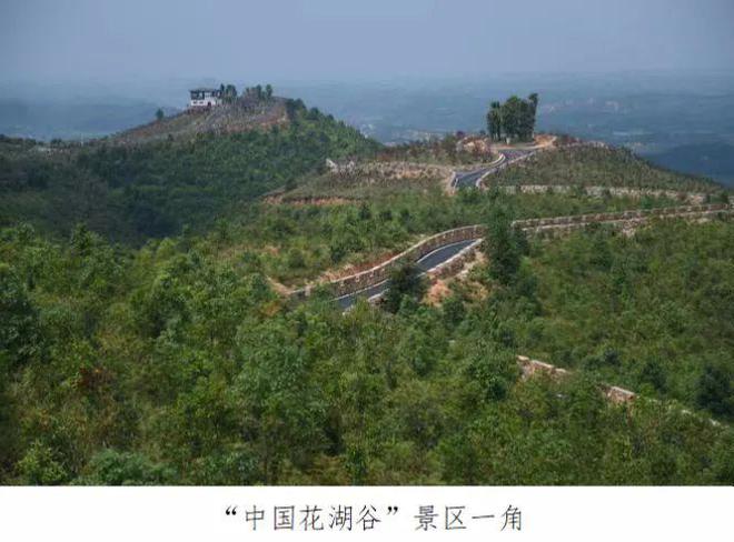 湖南乡村振兴十大案例乡火狐电竞贤｜茶陵县刘祖治：绿化荒山兴产业促进农民增收致富(图1)