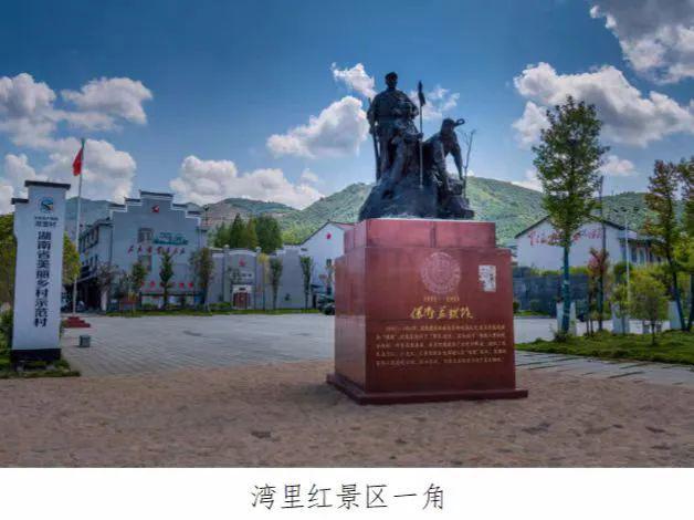 湖南乡村振兴十大案例乡火狐电竞贤｜茶陵县刘祖治：绿化荒山兴产业促进农民增收致富(图4)