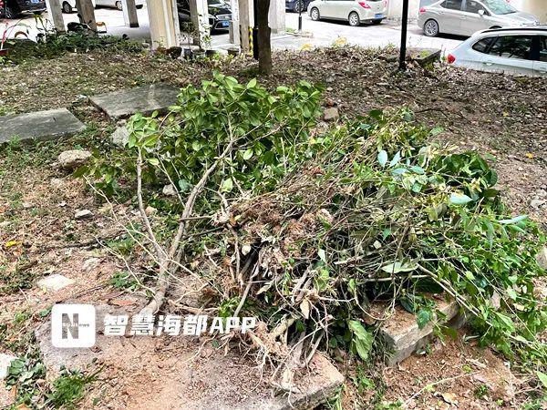 福州一小区物业未经审批竟干这事！部门回应了！火狐电竞(图1)