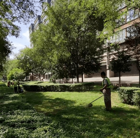 火狐电竞扮靓城市环境 营造中秋节日氛围(图4)