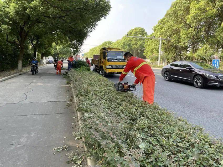 火狐电竞文明城区长效管理丨创建手札第三期(图7)