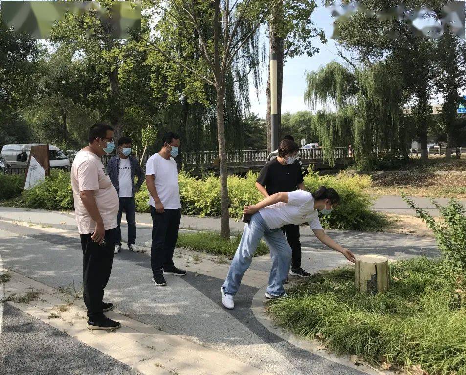 区园林绿化局对城市火狐电竞森林一期、二期等项目进行节前联合检查(图1)